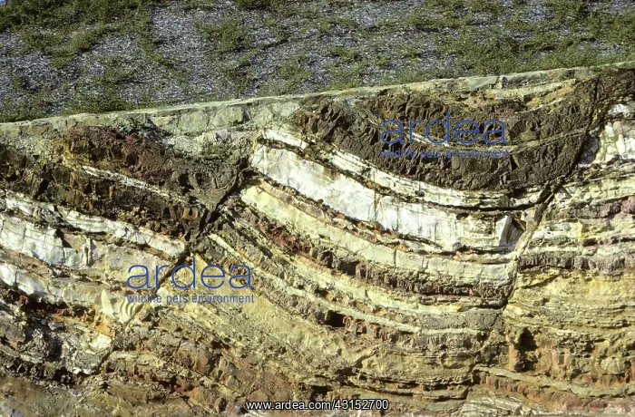 : Normal faults in sandstone, Australia : Normal faults in sandstone, Australia