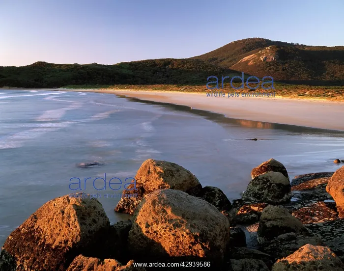 : Norman Bay, Wilsons Promontory National Park, Victoria : Norman Bay, Wilsons Promontory National Park, Victoria