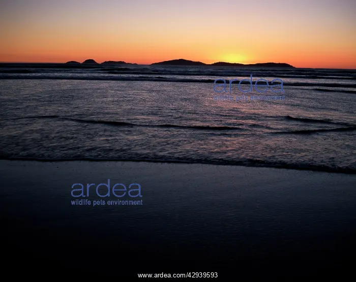 : Norman Bay, Wilsons Promontory National Park, Victoria : Norman Bay, Wilsons Promontory National Park, Victoria