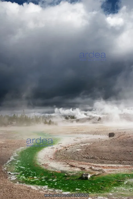 : Norris Geyser Basin with approaching storm clouds : Norris Geyser Basin with approaching storm clouds