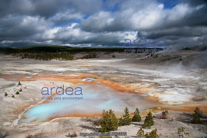 : Norris Geyser Basin with approaching storm clouds
