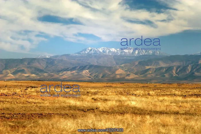 : North Africa; Africa; Morocco. The majestic : North Africa; Africa; Morocco. The majestic