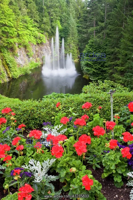 : North America. Canada. BC. Victoria. Butchard : North America. Canada. BC. Victoria. Butchard