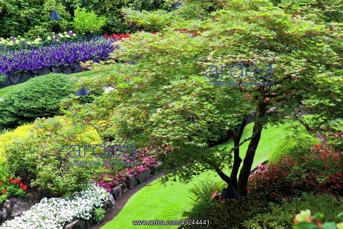 : North America. Canada. BC. Victoria. Butchard : North America. Canada. BC. Victoria. Butchard
