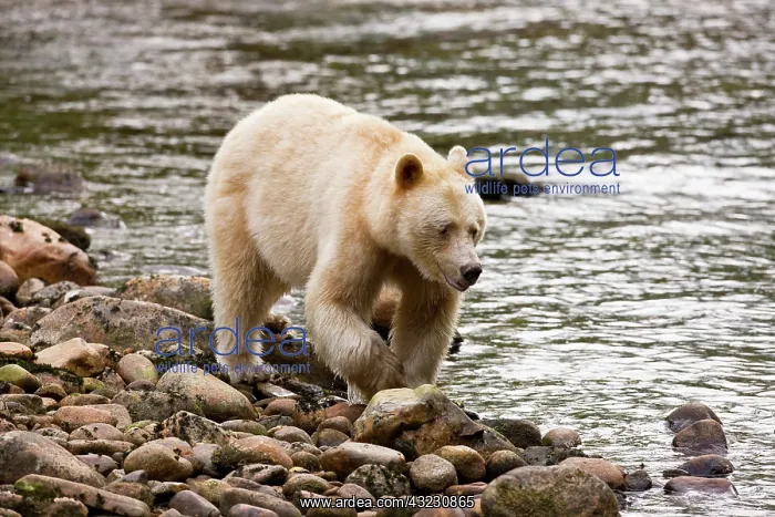  : North America, Canada, British Columbia