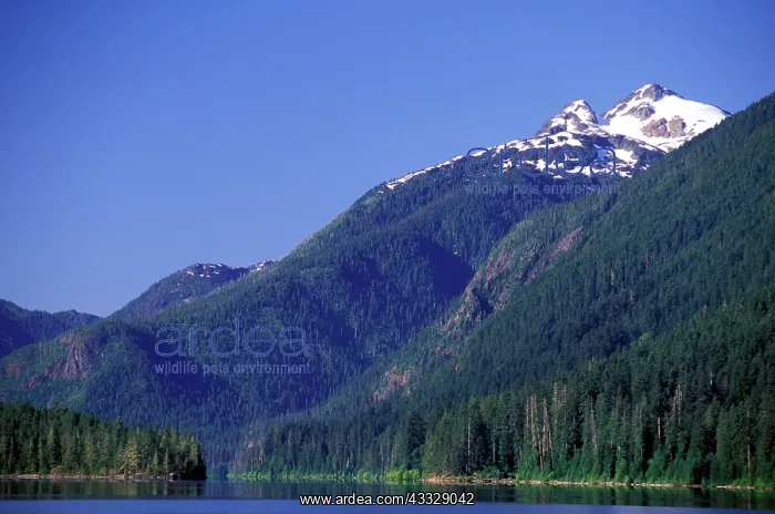 : North America, Canada, British Columbia : North America, Canada, British Columbia