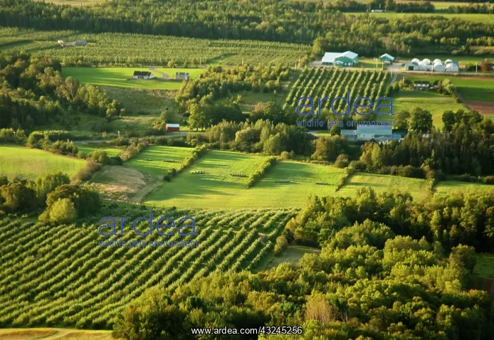 : North America, Canada, Nova Scotia, Annapolis : North America, Canada, Nova Scotia, Annapolis