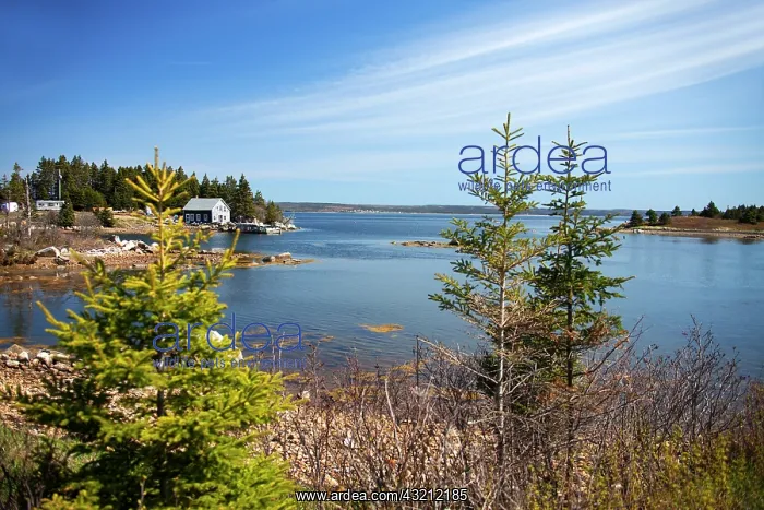 : North America, Canada, Nova Scotia, Guysborough : North America, Canada, Nova Scotia, Guysborough