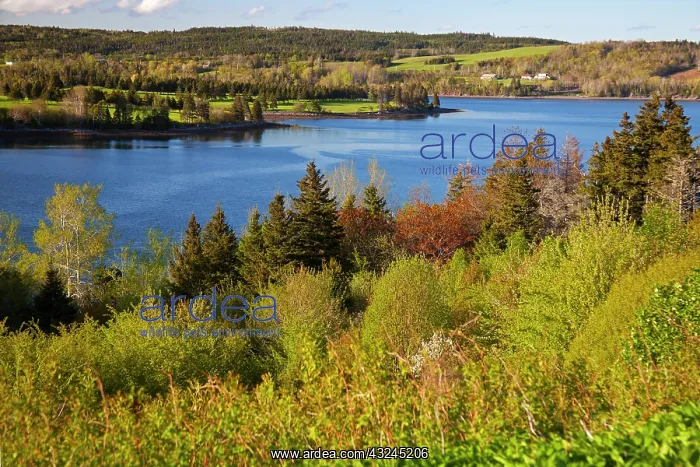 : North America, Canada, Nova Scotia, Guysborough : North America, Canada, Nova Scotia, Guysborough
