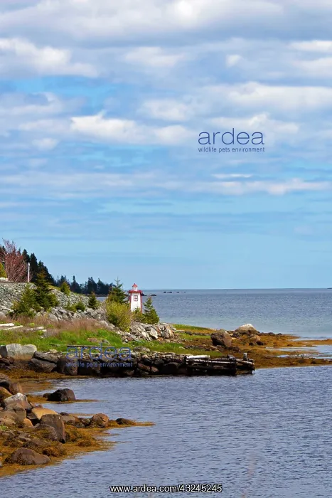 : North America, Canada, Nova Scotia. Scenery : North America, Canada, Nova Scotia. Scenery