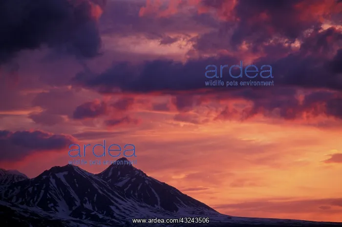  : North America, Canada, Yukon, Haines Junction