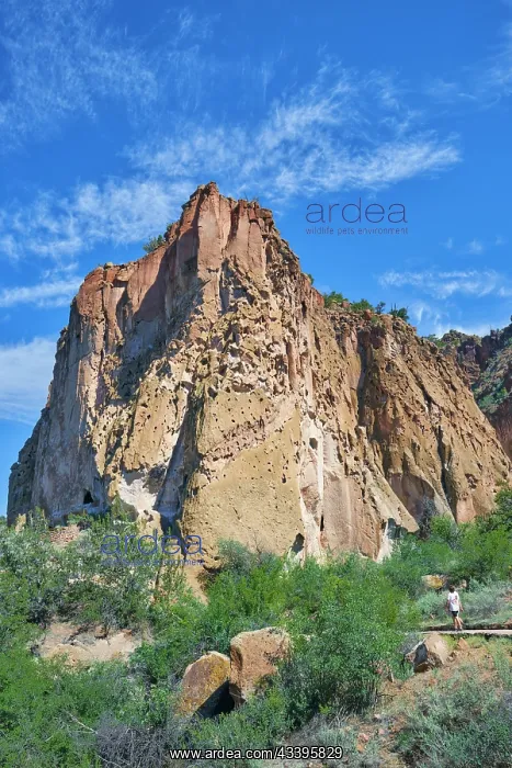 : North America, United States, New Mexico, Bandelier : North America, United States, New Mexico, Bandelier