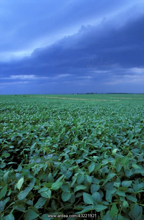  : North America, US, MD, A storm front moves