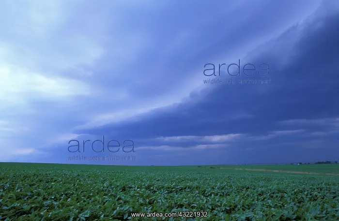 : North America, US, MD, A storm front moves : North America, US, MD, A storm front moves