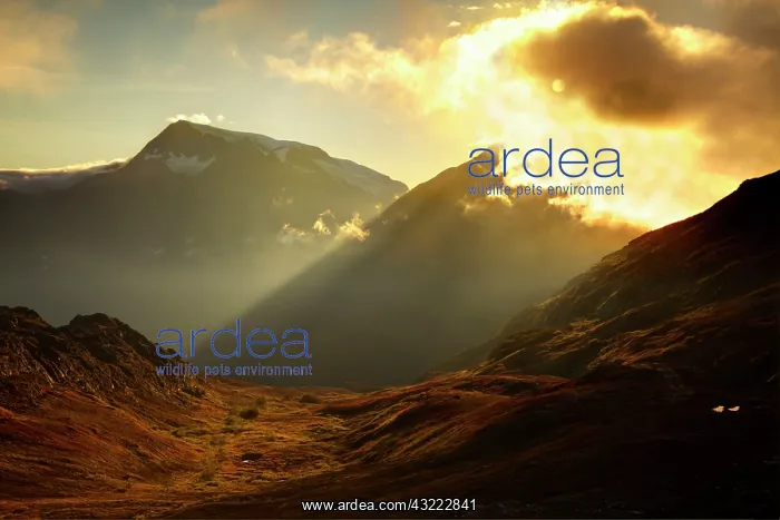 : North America. USA. Alaska. Thompson Pass : North America. USA. Alaska. Thompson Pass