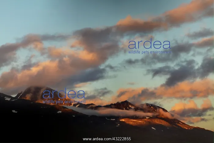 : North America. USA. Alaska. Thompson Pass : North America. USA. Alaska. Thompson Pass