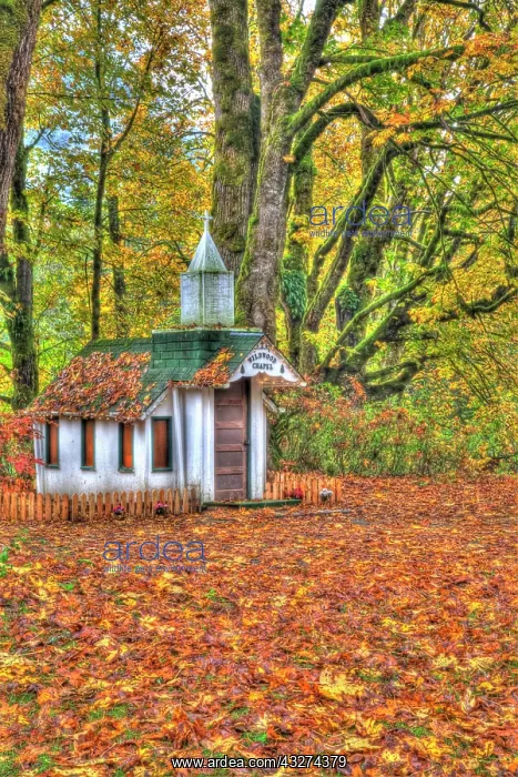 : North America, USA, Washington, Newhalem : North America, USA, Washington, Newhalem