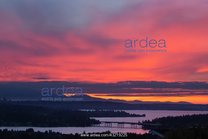  : North America, USA, Washington. Seattle