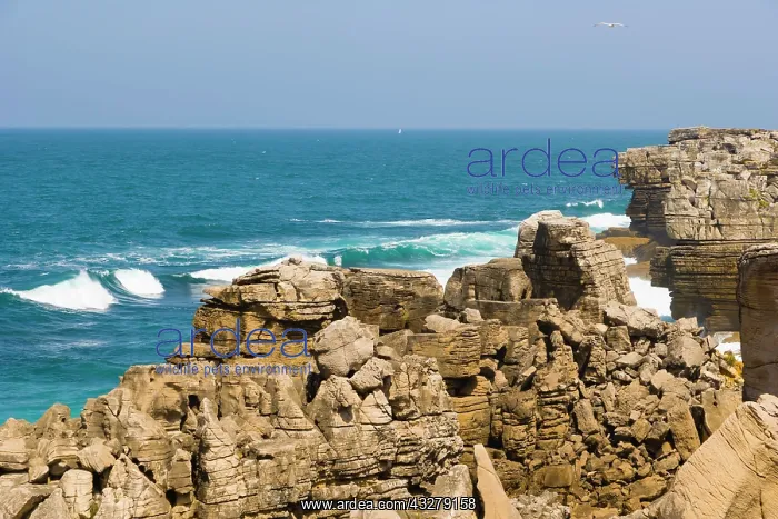 : North Coast, Peniche, Leiria District, Pinhal Litoral : North Coast, Peniche, Leiria District, Pinhal Litoral