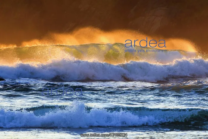 : North Coast Scotland, Great Britain : North Coast Scotland, Great Britain