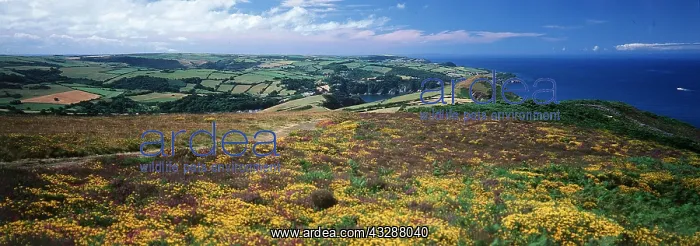 : North Devon - Coastal path looking towards Hangman : North Devon - Coastal path looking towards Hangman