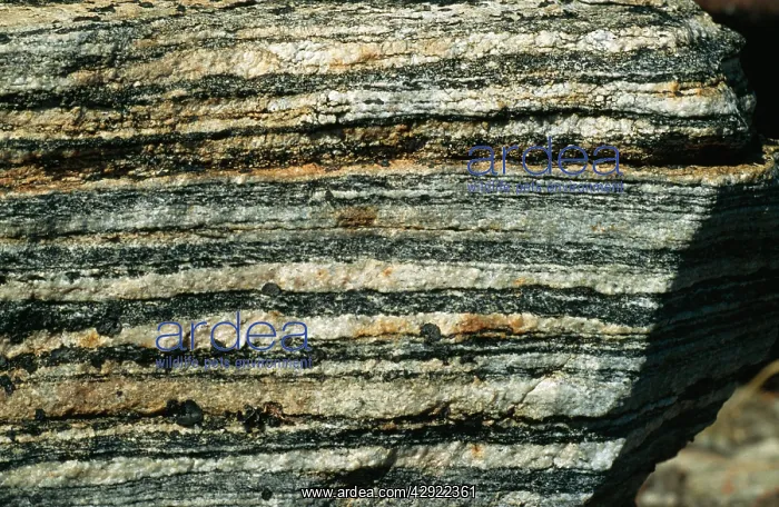  : North East GREENLAND - Gneiss Rock