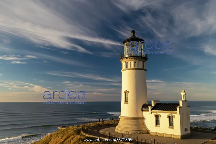 : North Head Lighthouse at Cape Disappointment State Park in : North Head Lighthouse at Cape Disappointment State Park in
