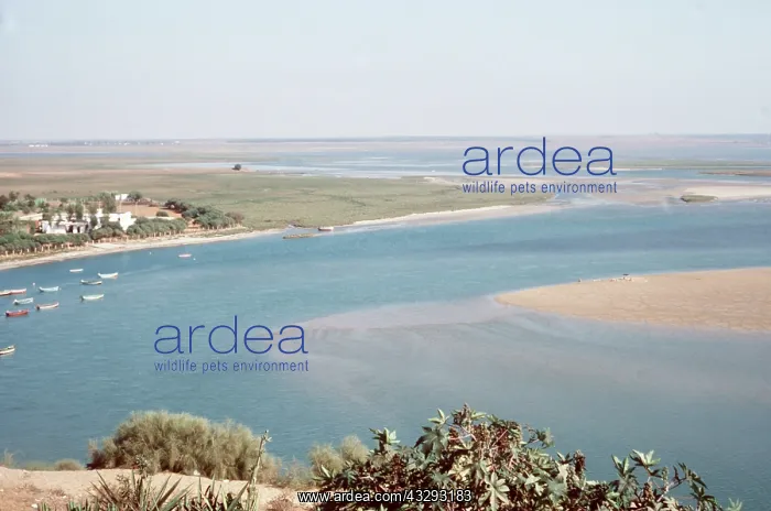 : North Morocco - Merdia Lerga coastal lagoon : North Morocco - Merdia Lerga coastal lagoon