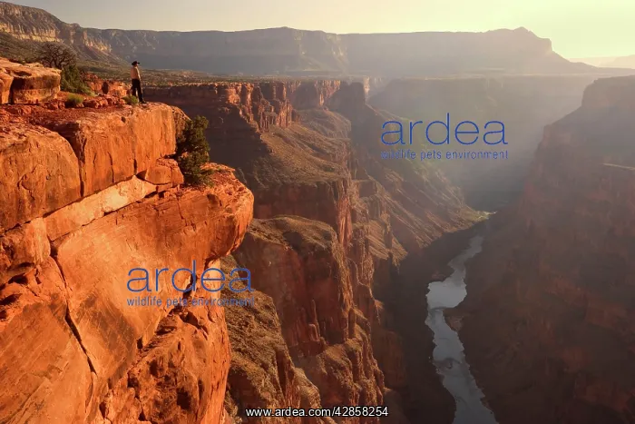 : North Rim of the Grand Canyon at Toroweap - Hiker : North Rim of the Grand Canyon at Toroweap - Hiker