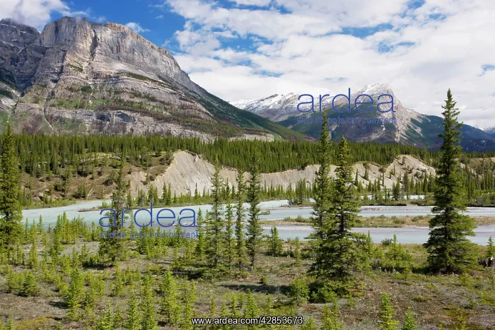 : North Saskatchewan River valley at Saskatchewan : North Saskatchewan River valley at Saskatchewan