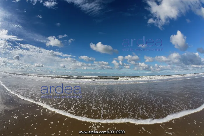 : North Sea, coastline on a sunny autumn day, Island : North Sea, coastline on a sunny autumn day, Island