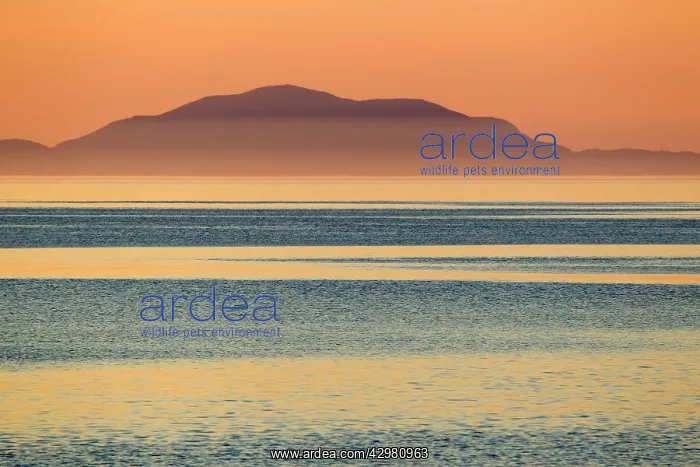 : North Uist after sunset : North Uist after sunset