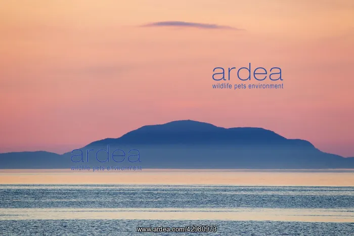 : North Uist after sunset : North Uist after sunset