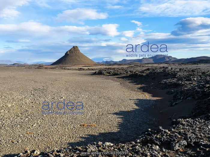 : The northeastern interior highlands of Iceland in : The northeastern interior highlands of Iceland in