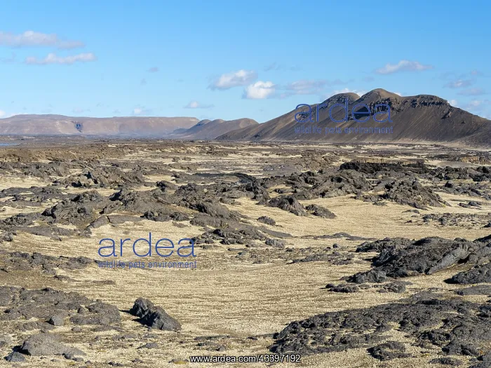 : The northeastern interior highlands of Iceland in : The northeastern interior highlands of Iceland in
