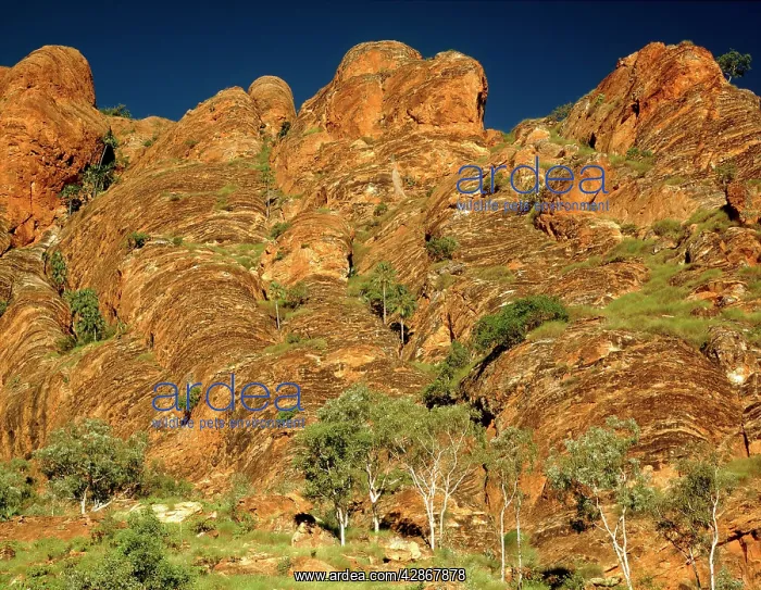 : Northern Bungle Bungle Range near Froghole Gorge : Northern Bungle Bungle Range near Froghole Gorge