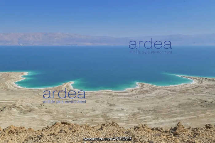 : Northern Dead Sea near Mitzpe Shalem, Israel, Asia : Northern Dead Sea near Mitzpe Shalem, Israel, Asia