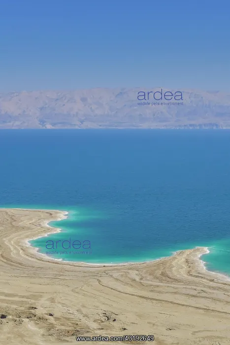 : Northern Dead Sea near Mitzpe Shalem, Israel, Asia : Northern Dead Sea near Mitzpe Shalem, Israel, Asia