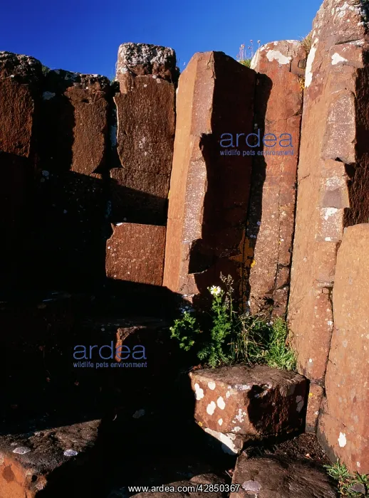 : Northern Ireland - Antrim : Northern Ireland - Antrim