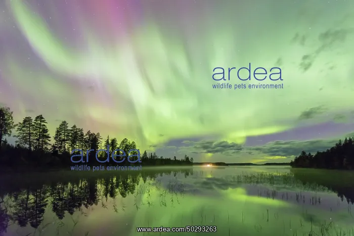 : Northern Light Sweden : Northern Light Sweden