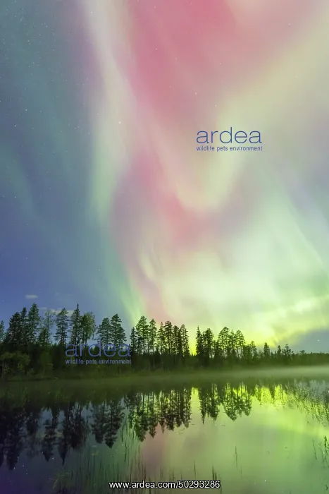: Northern Light Sweden : Northern Light Sweden