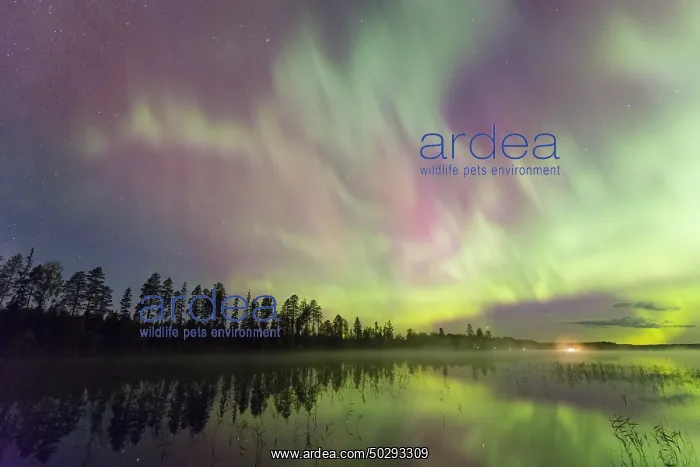 : Northern Light Sweden : Northern Light Sweden