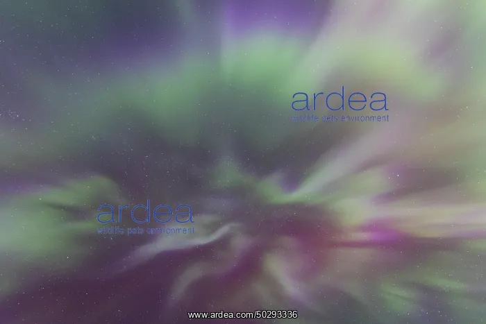 : Northern Light Sweden : Northern Light Sweden