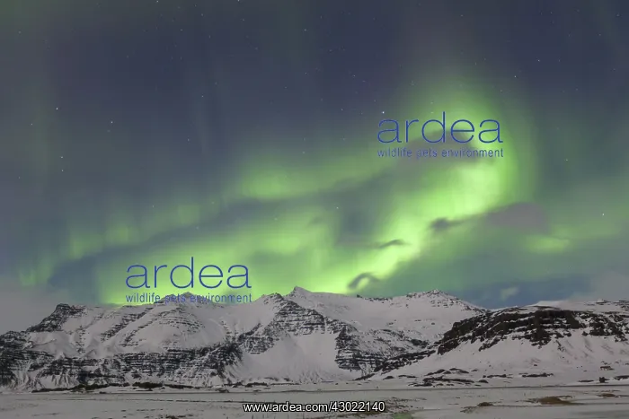 : Northern Lights : Northern Lights
