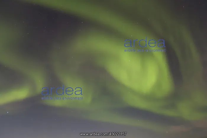  : Northern Lights