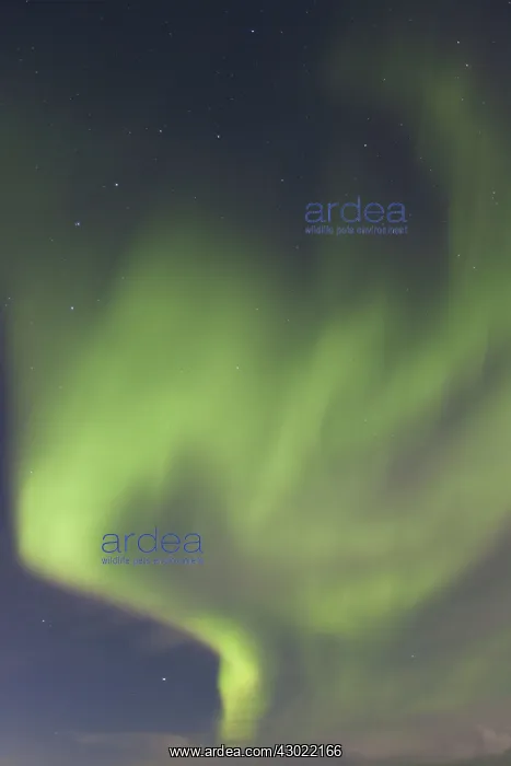  : Northern Lights
