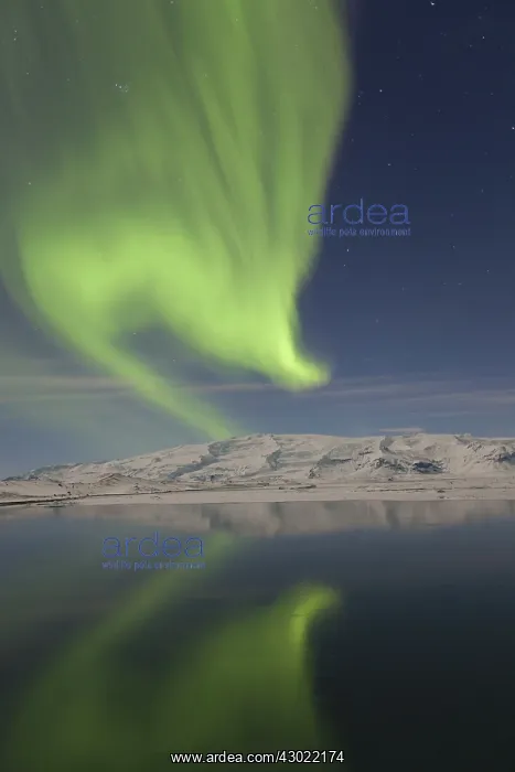 : Northern Lights : Northern Lights