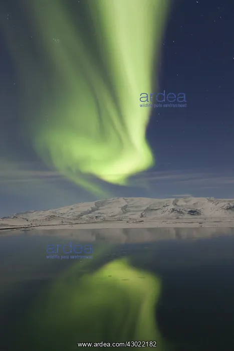  : Northern Lights