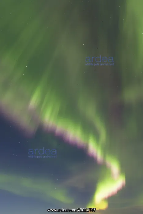 : Northern Lights : Northern Lights