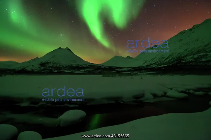  : Northern Lights